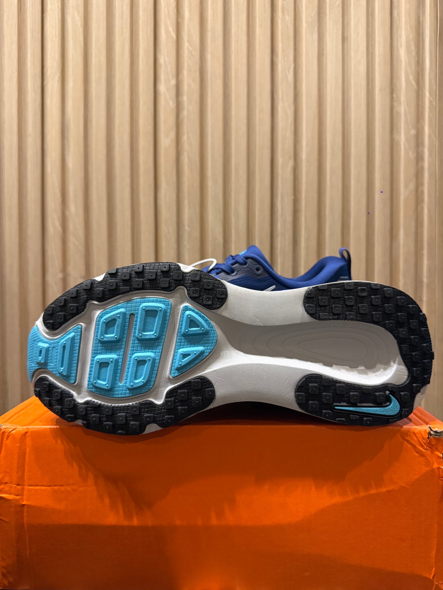 NIKE Vomero 18 (Limited Edition)