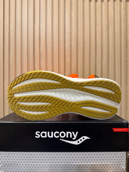 Saucony Triumph 22