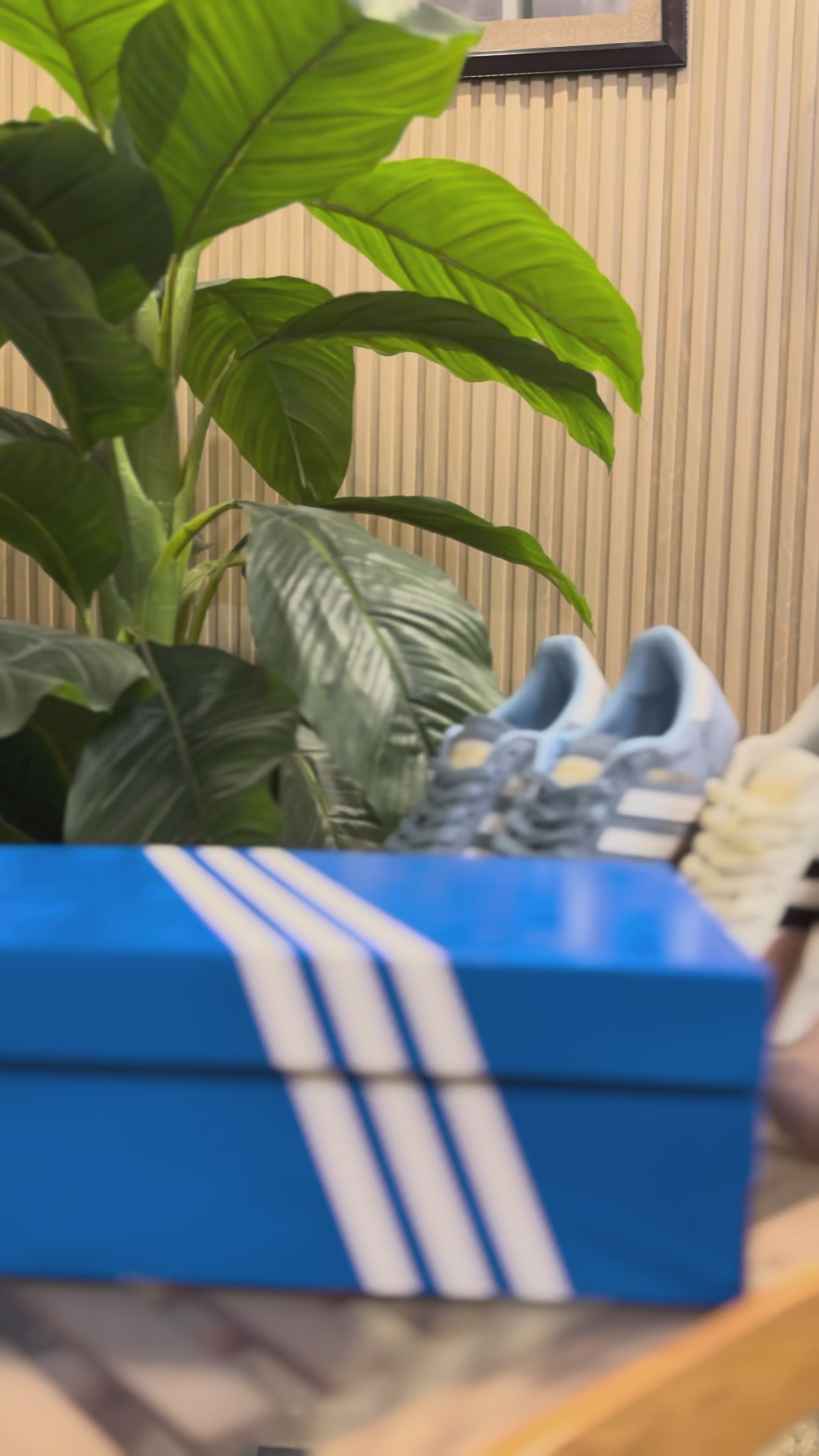 Load video: It's all about Class!